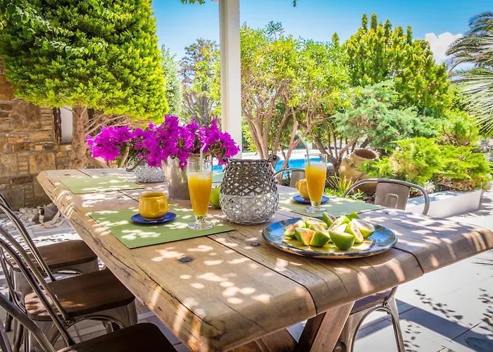 Villa Montana Stelida (Naxos)