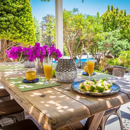 Montana Villa Naxos City