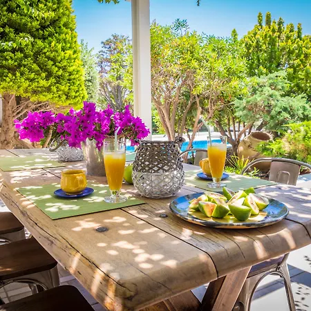 Villa Montana Naxos City